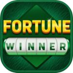 Fortune Winner